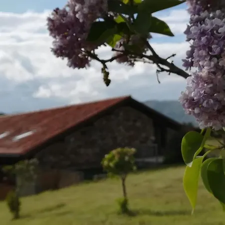 Izan Puerta De Gredos Hotel 4*