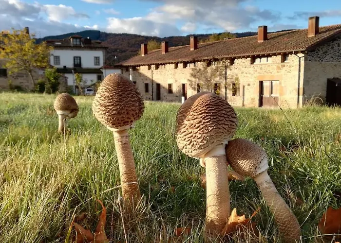 Izan Puerta De Gredos Hotel El Barco de Ávila