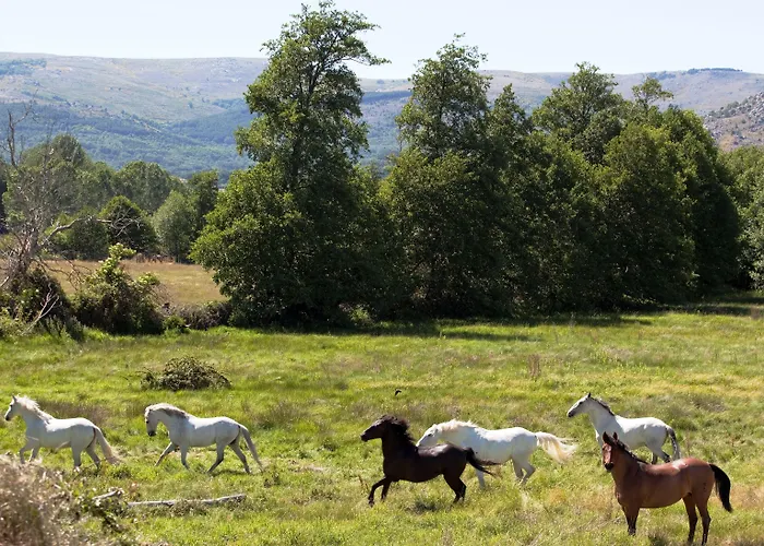 Izan Puerta De Gredos 호텔 El Barco de Ávila